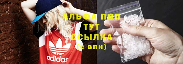 крисы Горняк