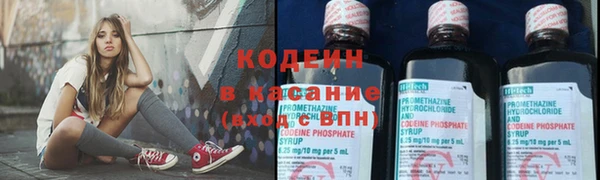крисы Горняк