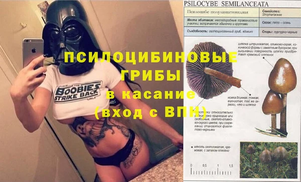 меф Горно-Алтайск