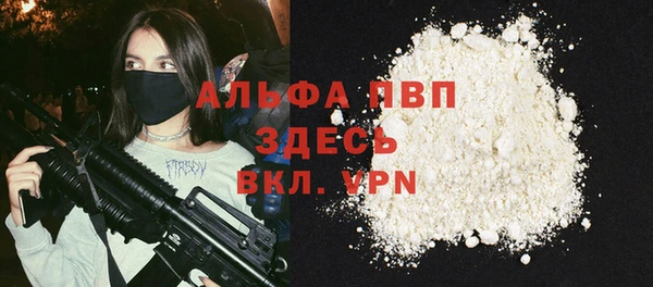 ECSTASY Гусь-Хрустальный
