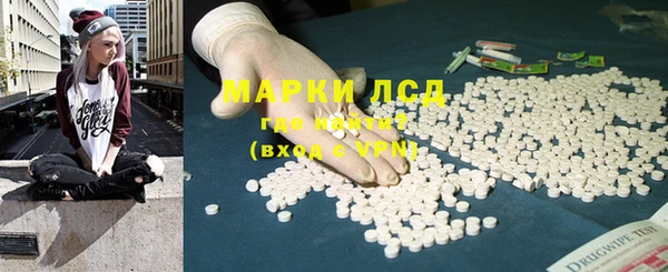 гидропоника Гусиноозёрск