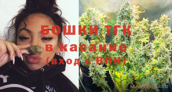 крисы Горняк