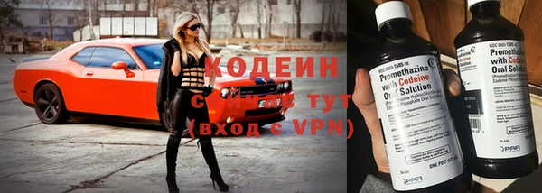 ECSTASY Гусь-Хрустальный