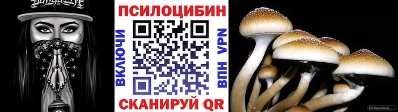 Галлюциногенные грибы прущие грибы  Облучье 